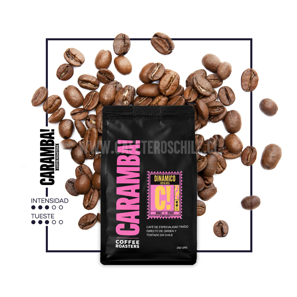 Dinamico 250gr grano