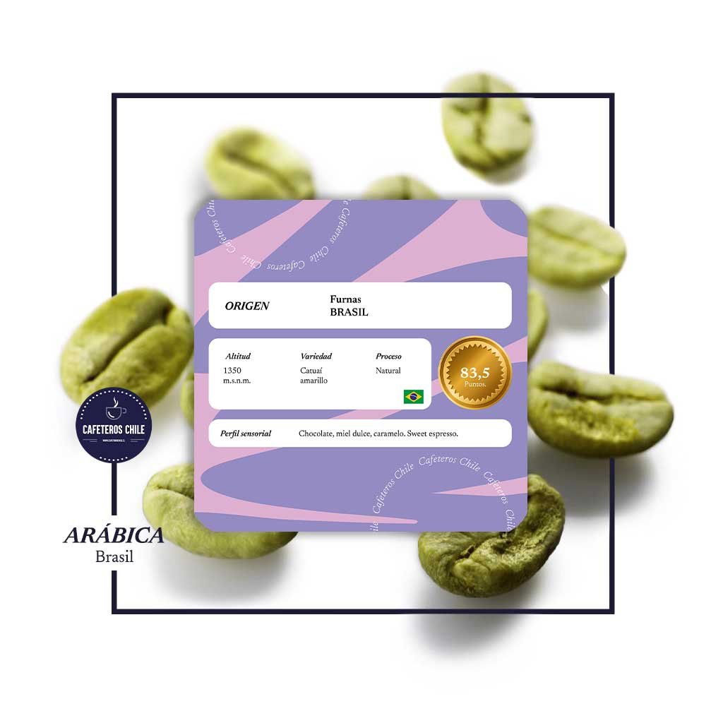 Café Verde 1kg Catuai amarillo - Brasil - Cafeteros Chile