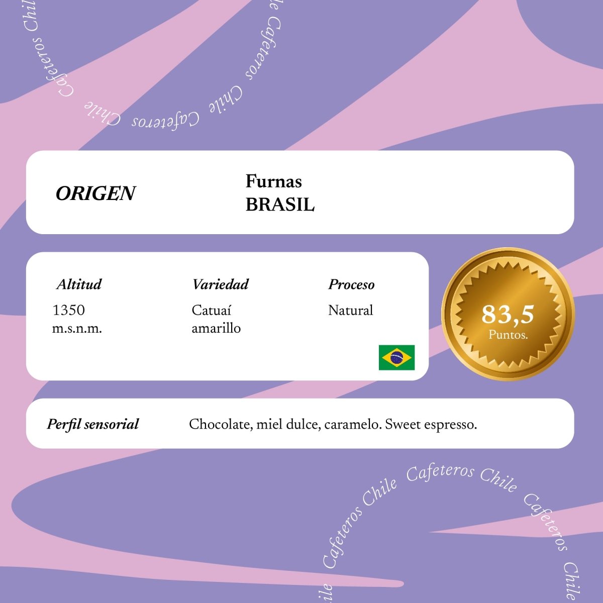 Café Verde 1kg Catuai amarillo - Brasil - Cafeteros Chile