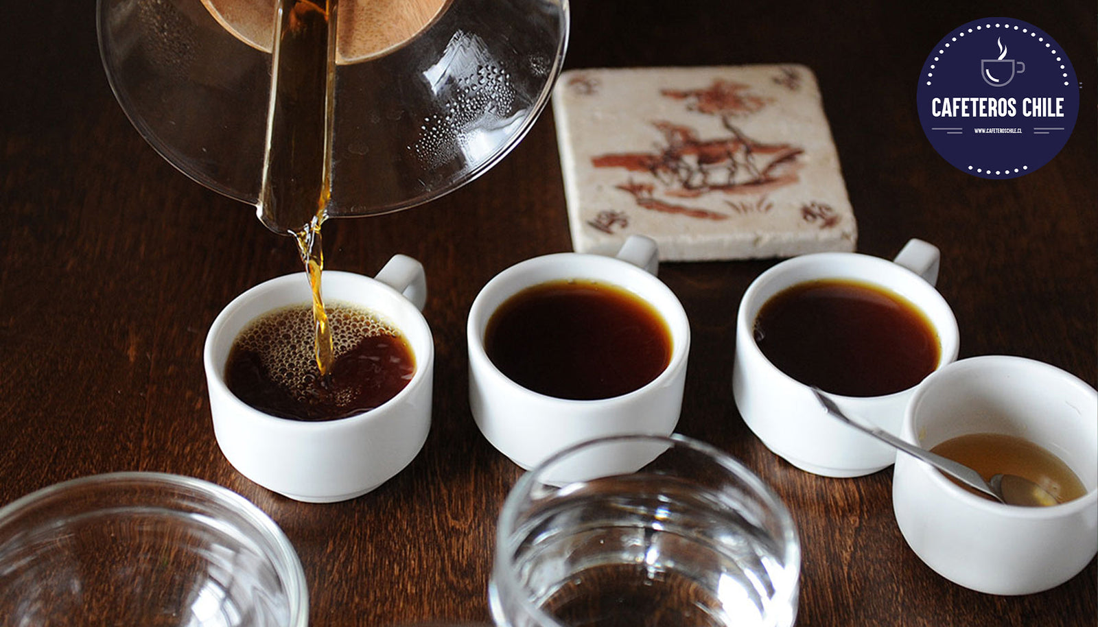 El poder de los antioxidantes del café: Beneficios para la salud respaldados por la ciencia