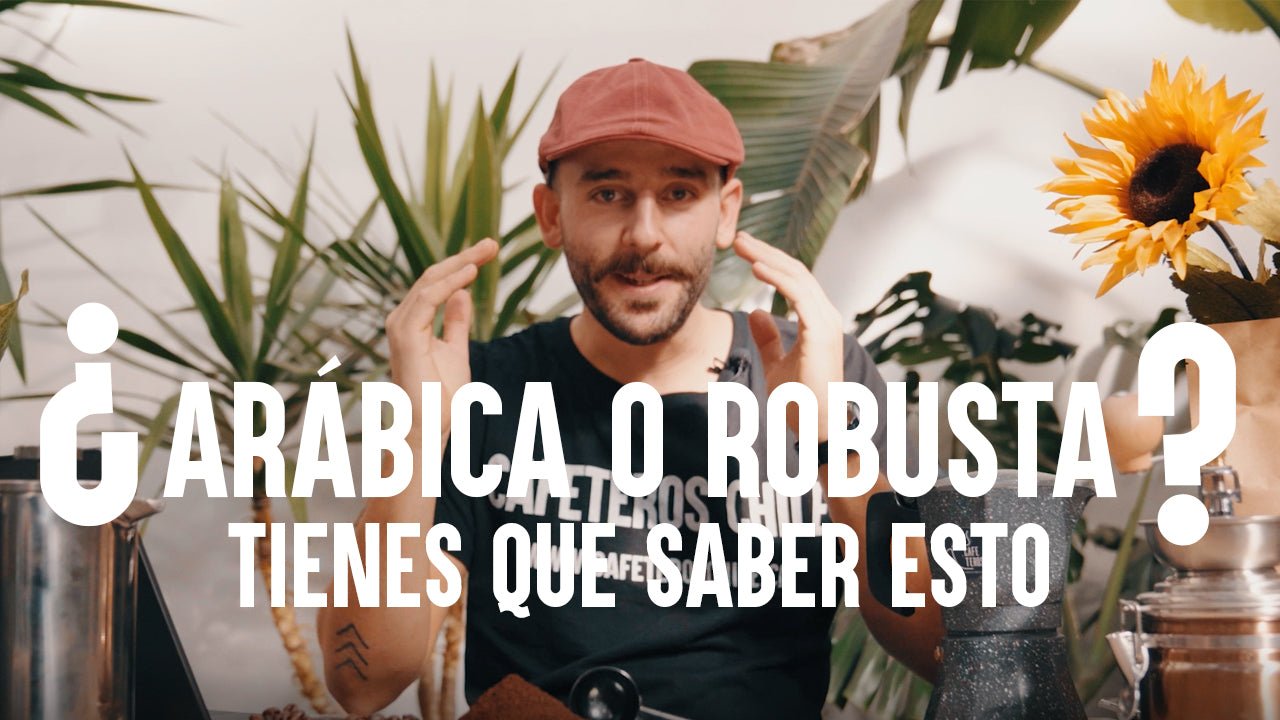 ¿Arábica o Robusta? Lo que debes saber - Cafeteros Chile