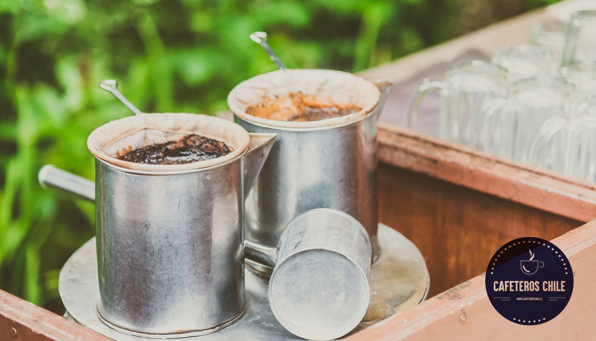Beneficios del café robusta: una variedad con carácter propio - Cafeteros Chile