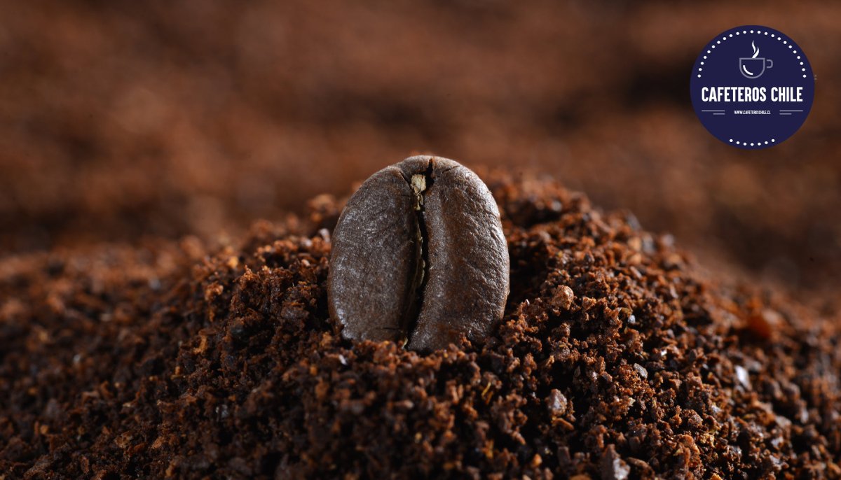 ¿Café en grano o molido? Descubre cuál es el ideal para ti - Cafeteros Chile