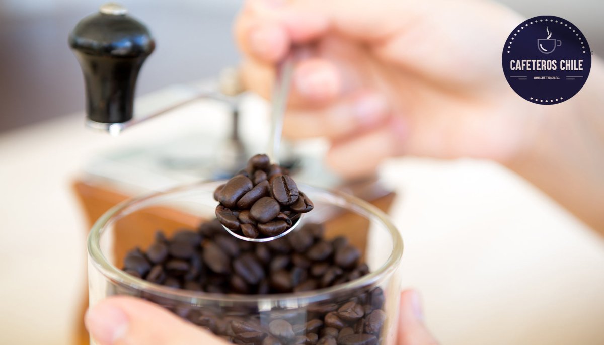 Cafés de especialidad: ¿Por qué son tan únicos? - Cafeteros Chile