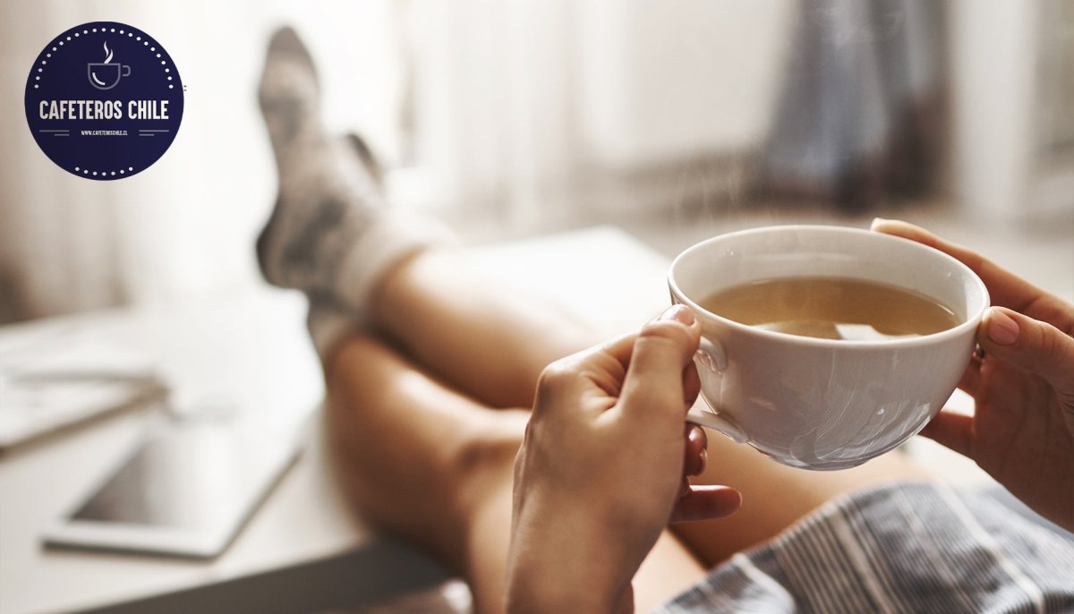 ¿Cuál es la mejor hora para tomar café en la mañana? El rol del cortisol al despertar - Cafeteros Chile