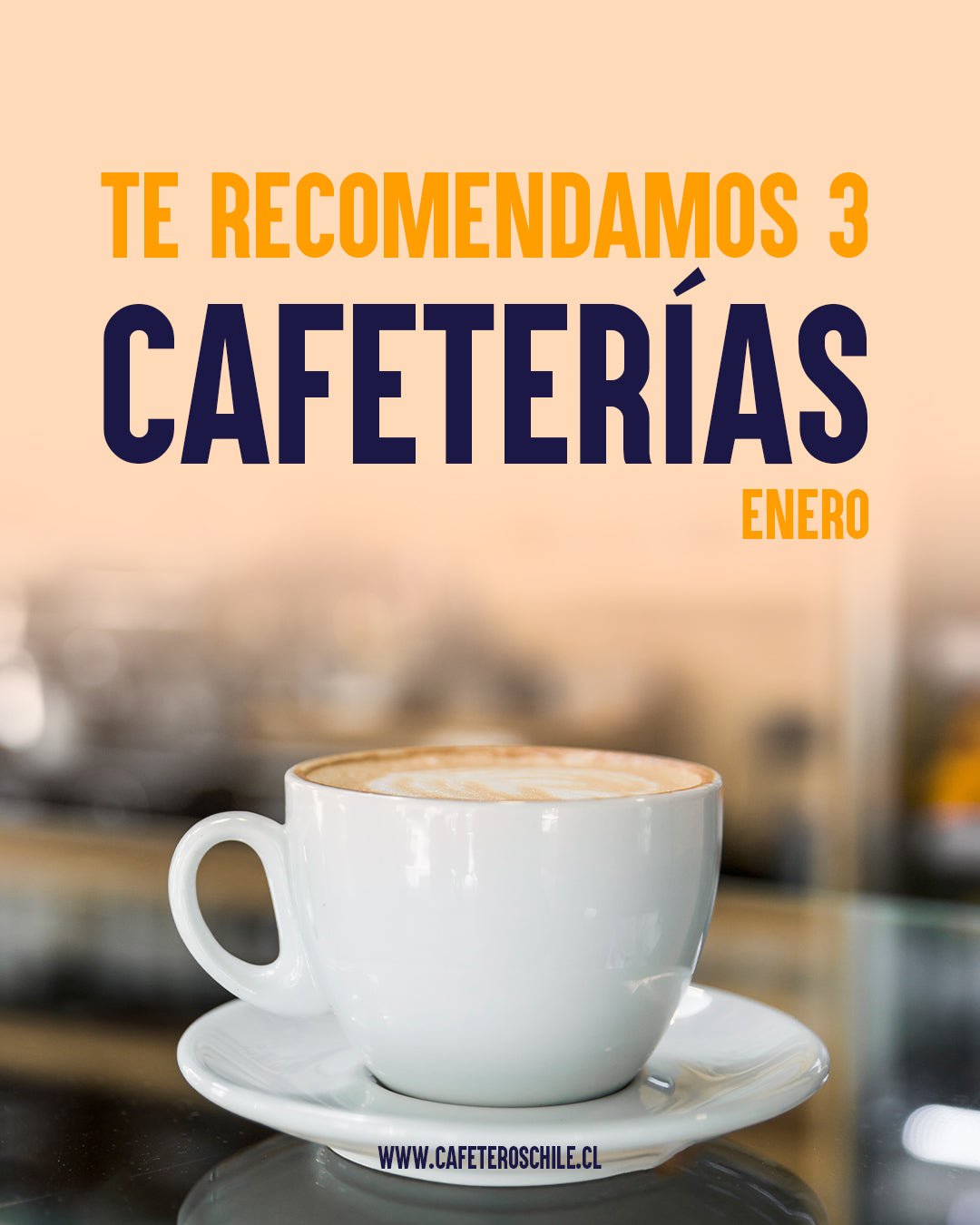 Descubre 3 Cafeterías Refrescantes en Santiago para Disfrutar este Verano - Cafeteros Chile