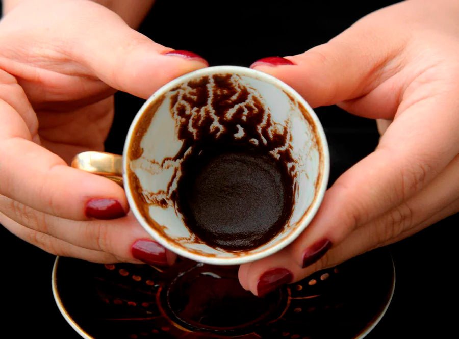 Descubre los Beneficios de la Borra de Café en Plantas y Jardinería - Cafeteros Chile