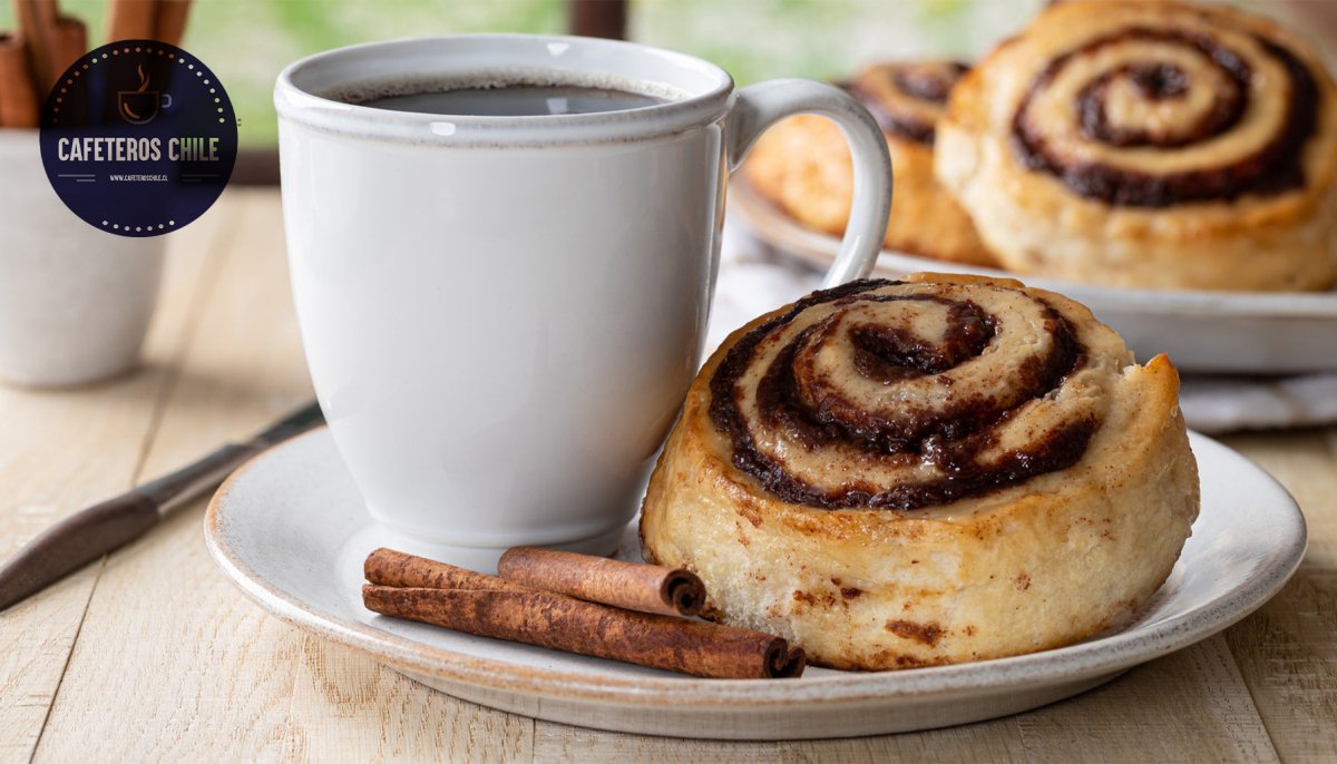 El experimento del café en Suecia: la historia de los gemelos, el té y una obsesión real - Cafeteros Chile