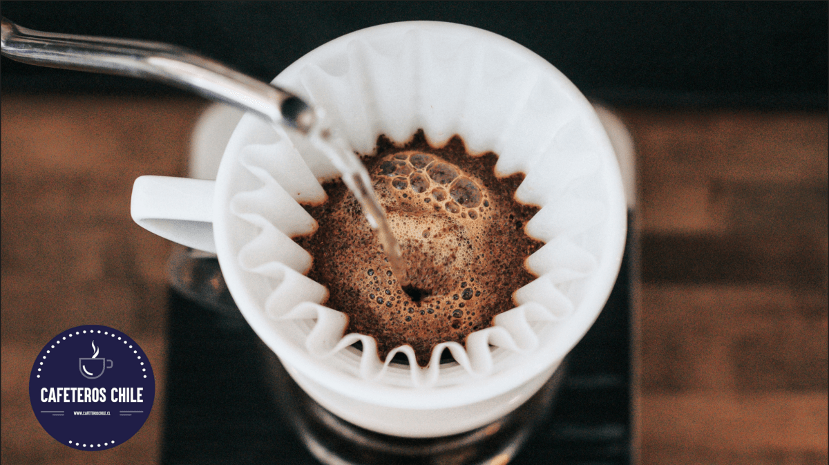 Hario V60 vs. Chemex: ¿Cuál son las diferencias? - Cafeteros Chile