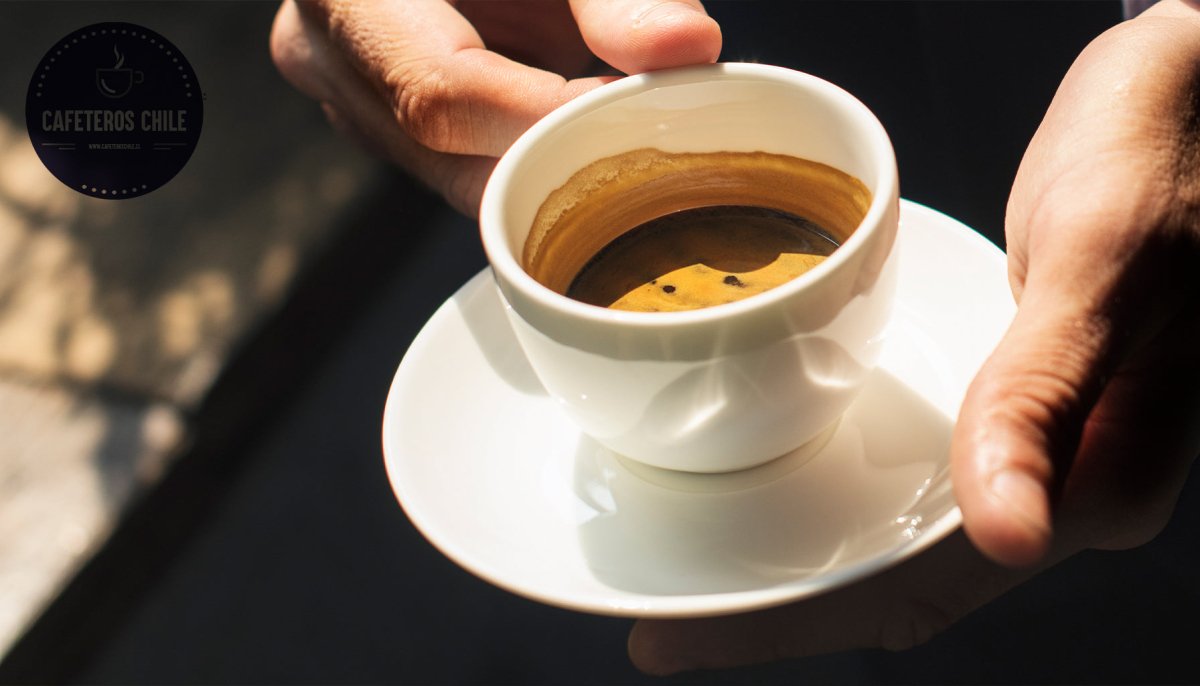 La crema del espresso: qué es, cómo se forma y cómo lograr una taza perfecta - Cafeteros Chile