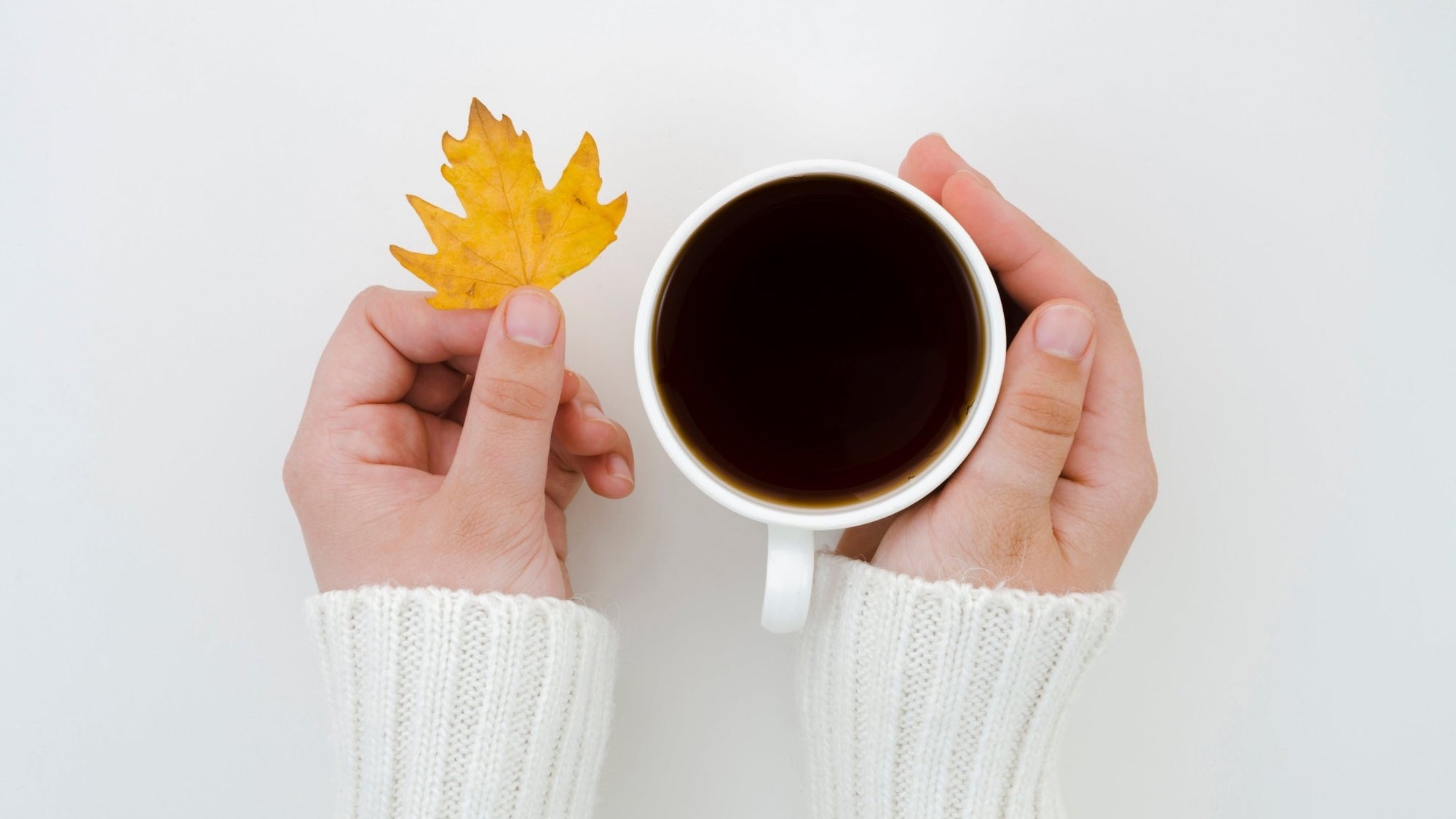 Las Mejores Cafeterías para Recargar Energías en Marzo en Chile - Cafeteros Chile