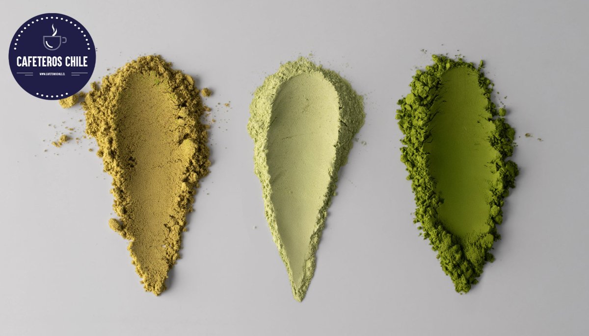 Matcha ceremonial: beneficios, propiedades y por qué es tan especial - Cafeteros Chile