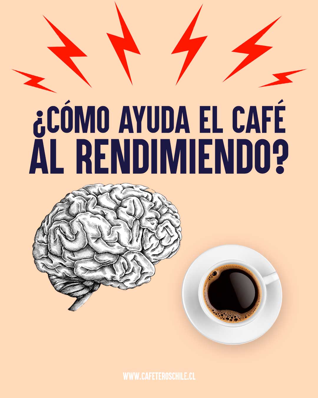 Potenciando tu Productividad: El Sorprendente Impacto del Café en tu Rendimiento Diario ☕🚀 - Cafeteros Chile