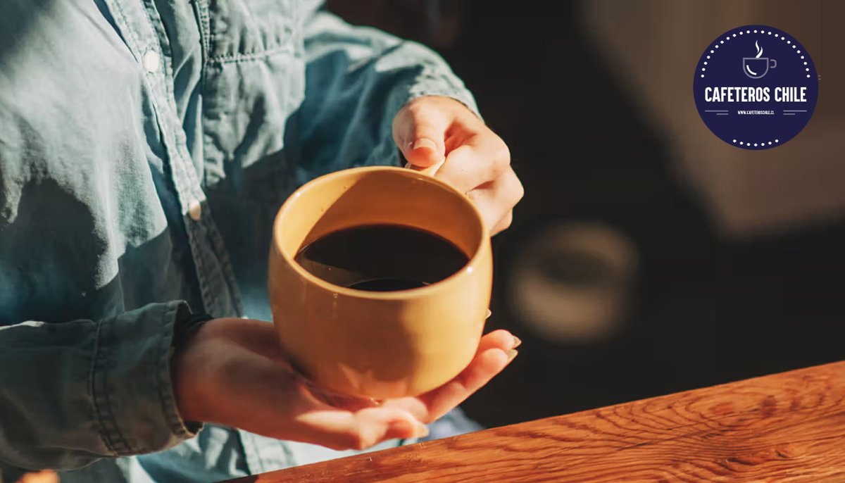 ¿Tu café matutino cuida tu cerebro? La ciencia detrás del eje intestino cerebro - Cafeteros Chile