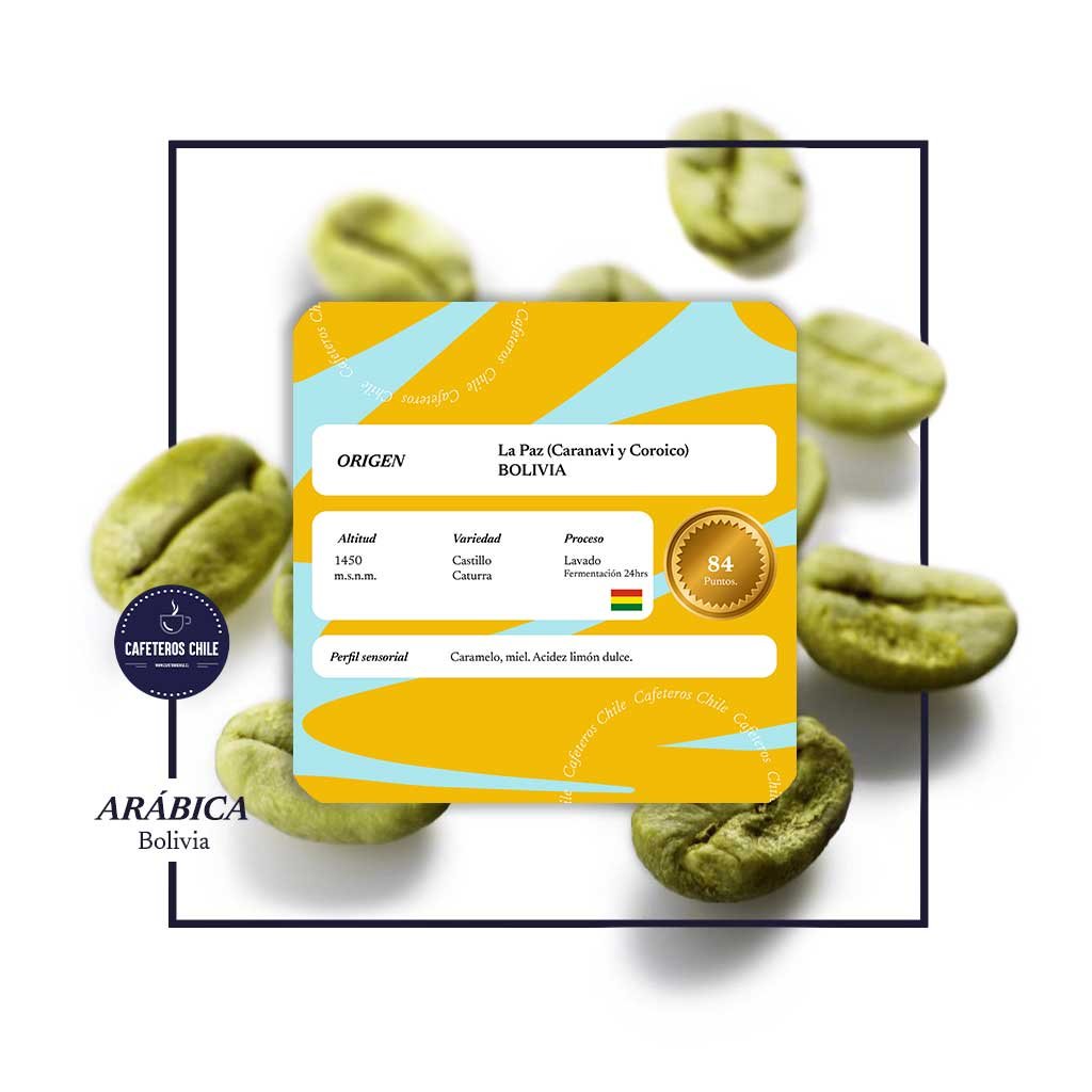 Café Verde 1kg Castillo Caturra Bolivia Anproca - Cafeteros Chile