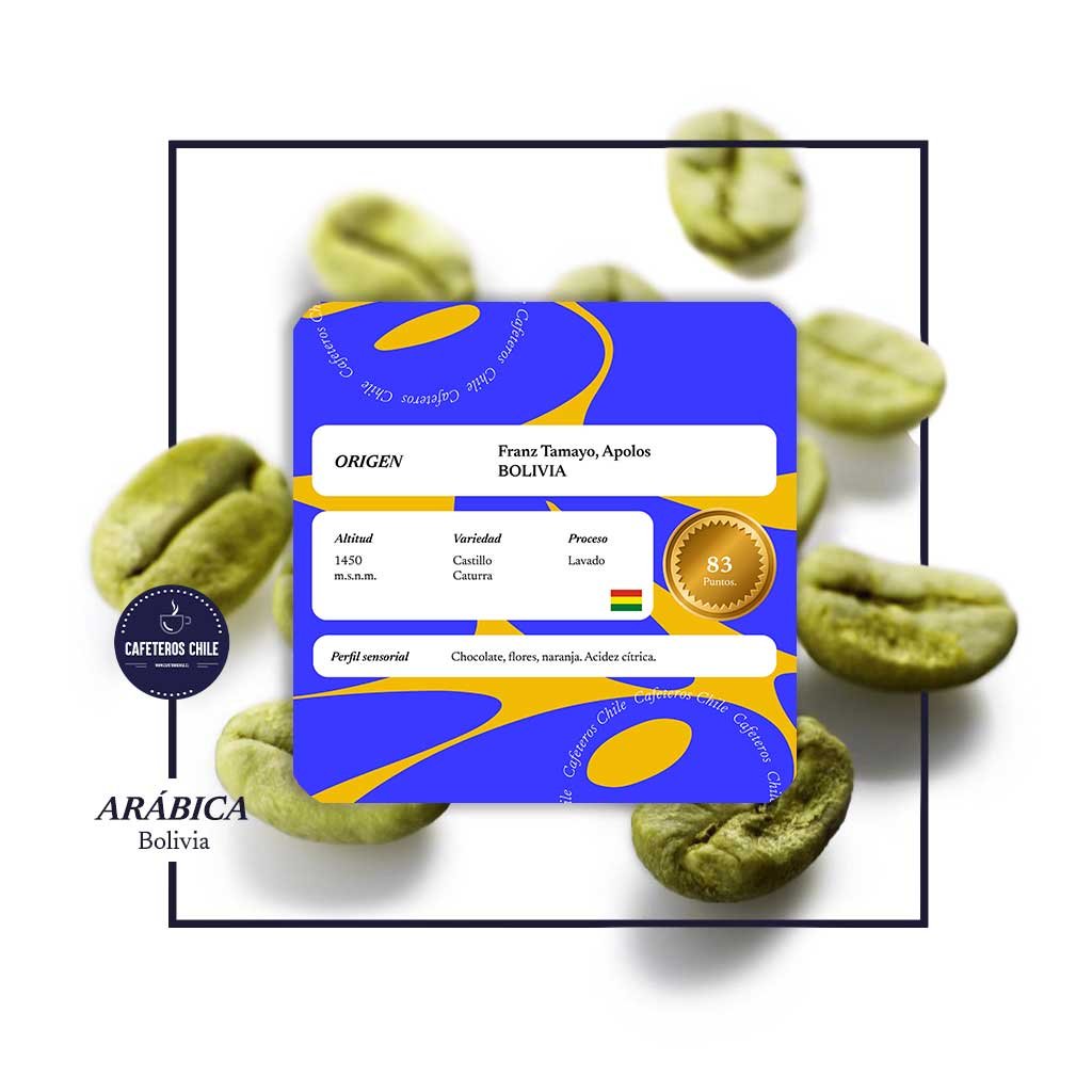Café Verde 1kg Castillo Caturra Bolivia Yanalo - Cafeteros Chile