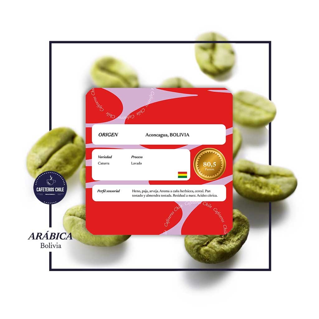Café Verde 1kg Caturra - Bolivia - Cafeteros Chile
