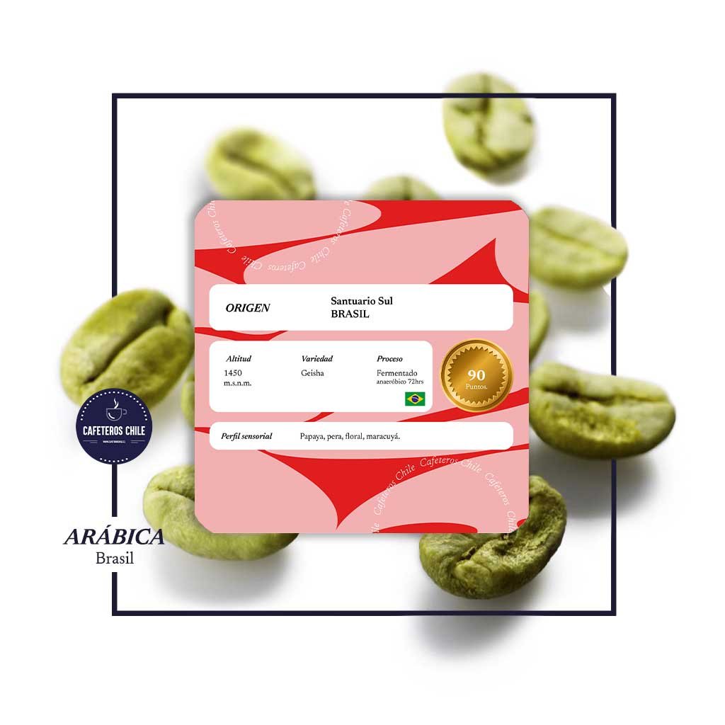 Café Verde 1kg Geisha - Brasil - Cafeteros Chile