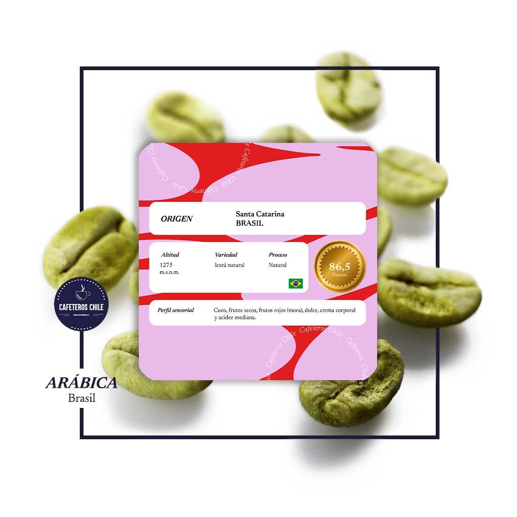 Café Verde 1kg Icatú natural - Brasil - Cafeteros Chile