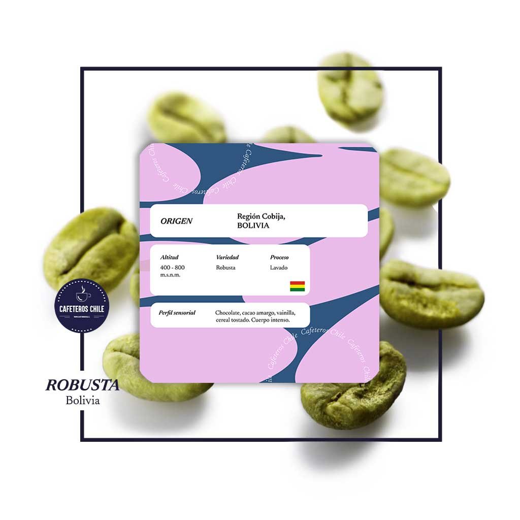 Café Verde 1kg Robusta - Bolivia - Cafeteros Chile