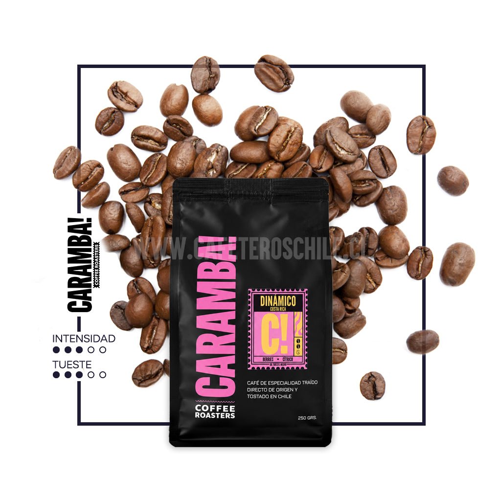 Dinamico 250gr grano - Cafeteros Chile