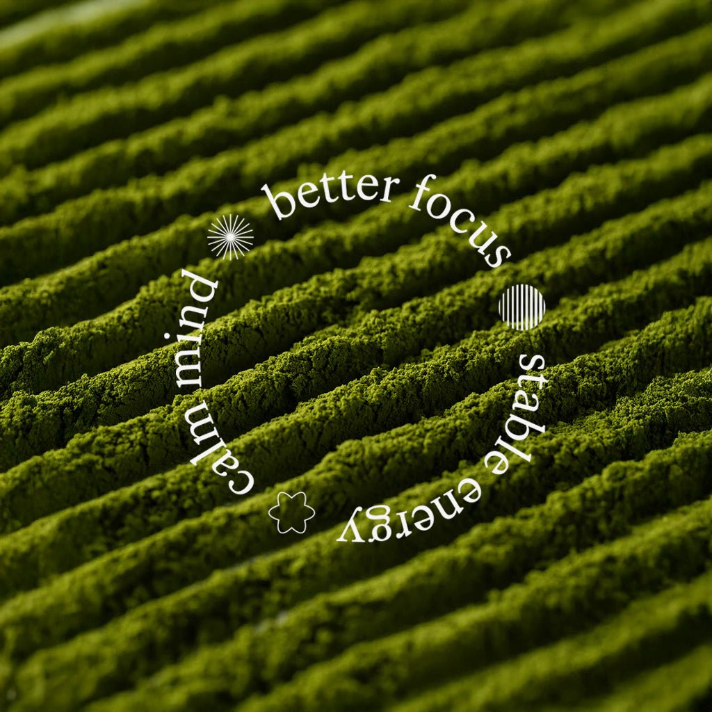 Matcha de Grado Ceremonial Equa - 50g - Cafeteros Chile