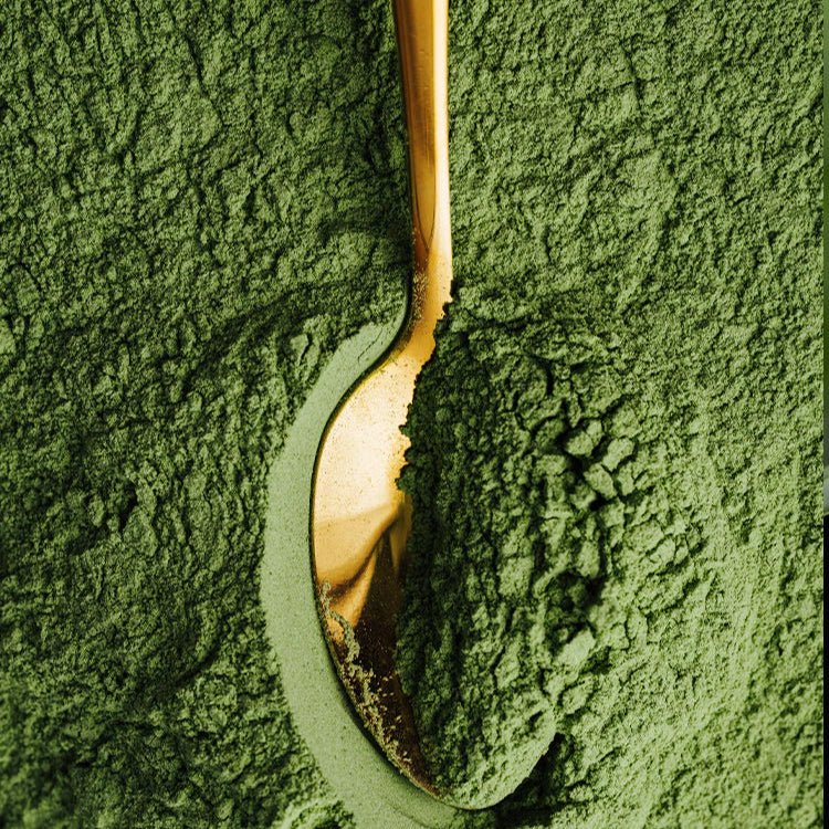 Matchaccino Clásico 150gr - Cafeteros Chile